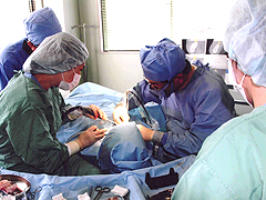 経験豊富なスタッフが治療を行います。