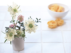 虫歯の治療について