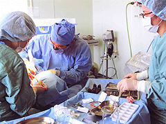 患者さんお一人お一人に合せた治療方法のご提案