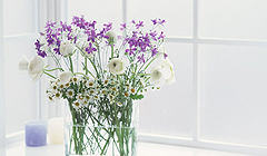 歯科医院で安心!オフィスホワイトニング